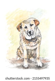 Watercolor hand drawing of sad homeless dog composition.