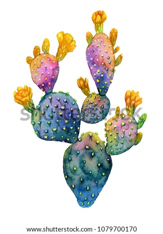 Watercolor hand drawn cactus. Opuntia blooming with yellow flowers. Botanical trendy and bright illustration.