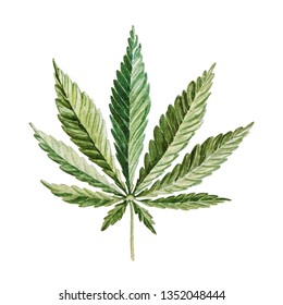 Watercolor Hand Drawn Cannabis Leaf