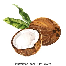 Noix De Coco Dessin High Res Stock Images Shutterstock