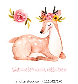 11,289 Watercolor woodland animals Images, Stock Photos & Vectors ...