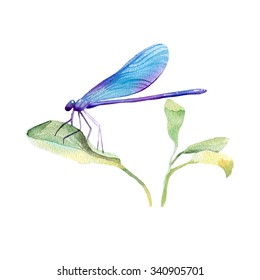 Watercolor Hand Drawn Dragonfly