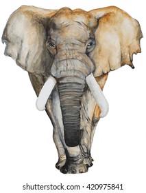 Watercolor hand drawn Elephant on white background for brochure and t-shirt, invitation card and postcard.