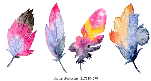 Watercolor Hand Drawn Feathers Illustration - Boho Style Elements. Isolated On The White Background.