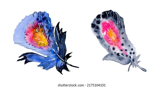 Watercolor Hand Drawn Feathers Illustration - Boho Style Elements. Isolated On The White Background.