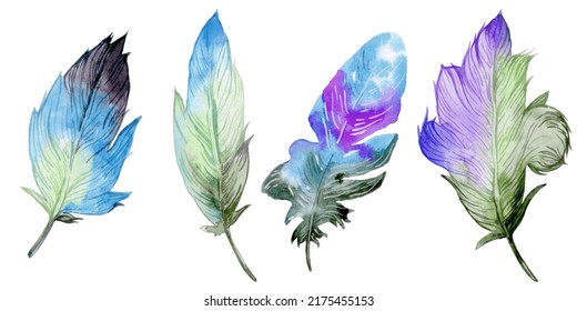 Watercolor Hand Drawn Feathers Illustration - Boho Style Elements. Isolated On The White Background.