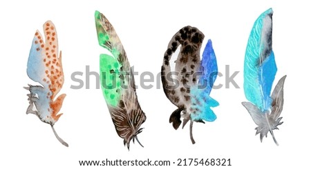 Watercolor hand drawn feathers illustration - boho style elements. Isolated on the white background.