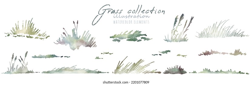 Watercolor Hand Drawn Forest Set With Delicate Illustration Of Different Types Of Grass, Lawn, Sward, Field. Elements Isolated On A White Background. Woodland Silhouette Collection