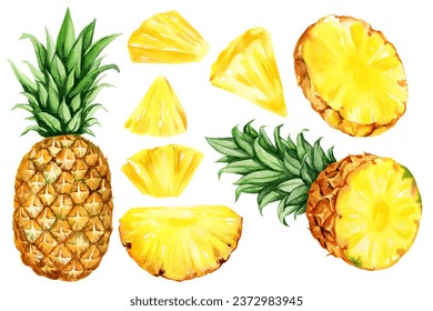 watercolor hand drawn illustration, set of pineapple with half and slices ripe pineapple, triangular pieces of pineapple, sketch of tropical fruit, food illustration isolated on watercolor background - Powered by Shutterstock