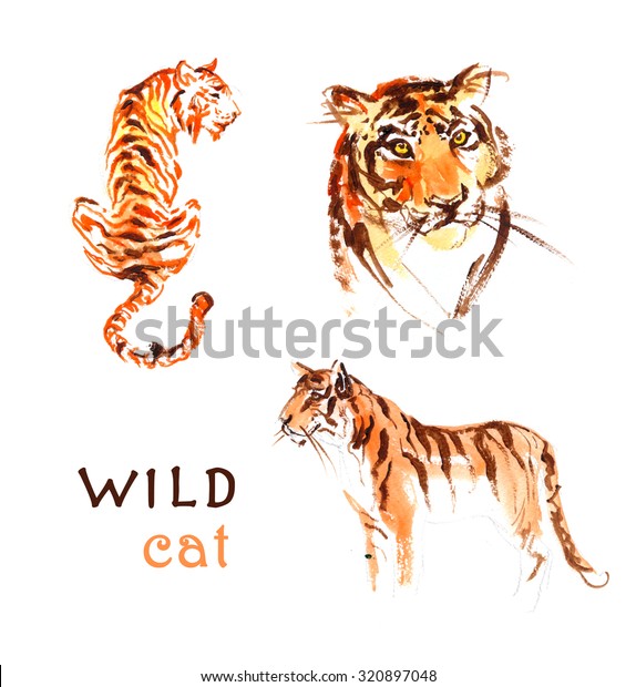 Suchen Sie Nach Wasserfarbige Handgezeichnete Illustration Von Tiger Einzeln Stockbildern In Hd Und Millionen Weiteren Lizenzfreien Stockfotos Illustrationen Und Vektorgrafiken In Der Shutterstock Kollektion Jeden Tag Werden Tausende Neue