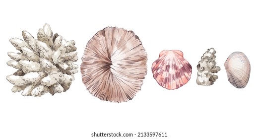 Watercolor hand drawn nautical set with illustration of corals seashells isolated on white background. Graphic details. Marine blue underwater elements design. Art print for greeting card, wallpaper