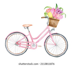 Watercolor hand drawn pink bycicle, spring floral clipart, isolated illustration on white background. 