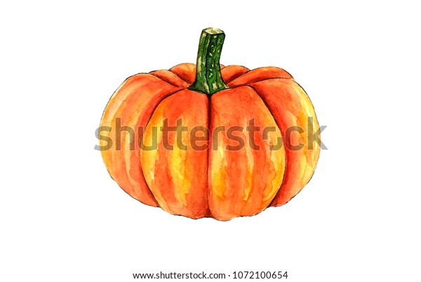 Watercolor Hand Drawn Pumkin Vegetable Isolated Stock Illustration ...