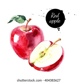 Watercolor hand drawn red apple. Isolated eco natural food fruit illustration on white background