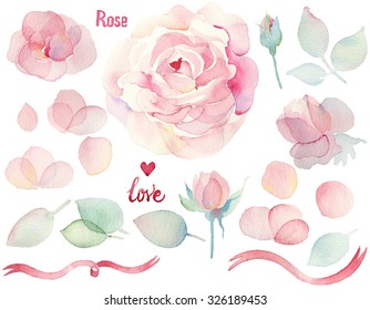 Watercolor hand drawn roses