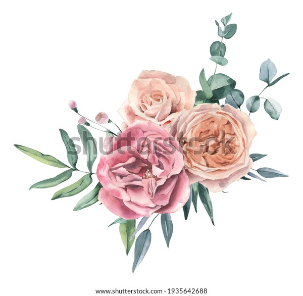 Watercolor Hand Drawn Roses Eucalyptus Bouquet Stock Illustration ...