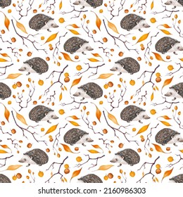 Watercolor hand drawn rural autumn forest seamless pattern with illustration of animal hedgehog, branches, plants, leaves, berries. Set of autumn forest nursery elements isolated on white background - Powered by Shutterstock