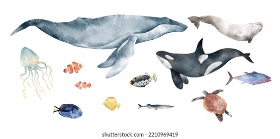 Watercolor hand drawn sea set  Colorful illustration ocean mammals animals  coral reef fish  Humpback blue whale  killer whale  orca  beluga  Wildlife marine elements isolated white background 
