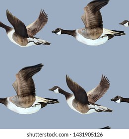 Watercolor Hand Drawn Seamless Pattern With Canada Goose Geese Flying In Sky Neutral Calm Soft Natural Colors Grey Brown Ochre White Endangered Species For Nature Lovers Birds Animals In Wood Forest