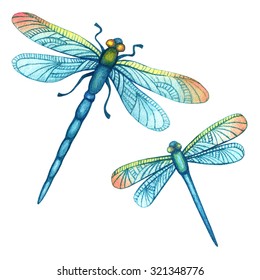 Watercolor Hand Drawn Set Beautiful Dragonflies Stock Illustration ...