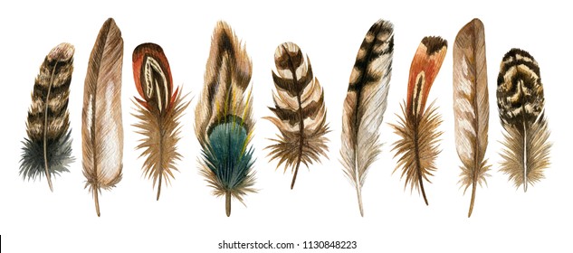 Watercolor hand drawn set of brown bird feathers. Colorful boho collection isolated on white background