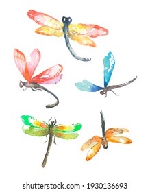 Watercolor Hand Drawn Set Of Colorful Dragonfly