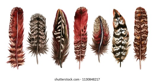 Watercolor hand drawn set of red and brown bird feathers. Colorful boho collection isolated on white background 