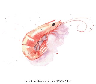 3,654 Shrimp Watercolor Images, Stock Photos & Vectors | Shutterstock