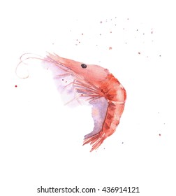 Watercolor Hand Drawn Shrimp With Splashes