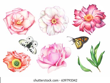 Watercolor hand drawn summer set of flowers, butterflies and green leaves