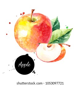 Watercolor hand drawn yellow and red apple. Isolated eco natural food fruit illustration on white background