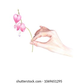 Watercolor hand holding bleeding heart flower  isolated white background  Symbol true love  Banner  poster & textile design  Unconditional love concept  Hand drawn realistic illustration  