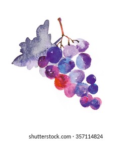 Watercolor Hand Made Illustration Of Grapes