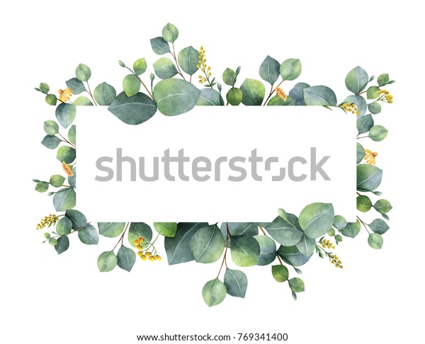 ユーカリの葉と枝を緑に塗った水彩手描きのバナー 招待状 結婚式 グリーティングカード用の春または夏の花 のイラスト素材
