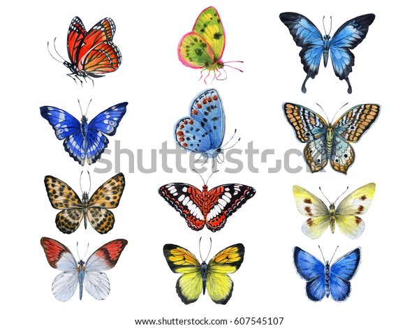 Watercolor hand painted butterflies. Can be used as background for invitations, greeting cards, postcards, patterns, prints, textile design, package design, wallpapers and so on.