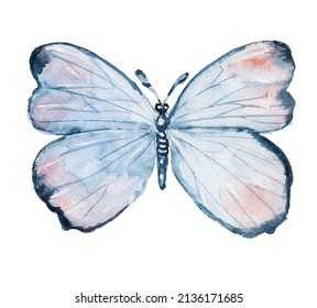 Watercolor Hand Painted Butterfly Illustration Isolated On A White Background. Beauty Of Nature Concept.Insect Clipart.