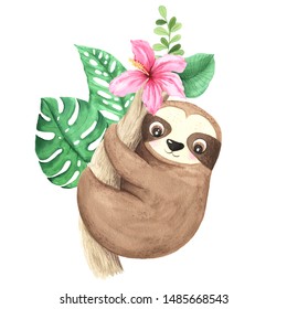 Cute Sloth Hd Stock Images Shutterstock