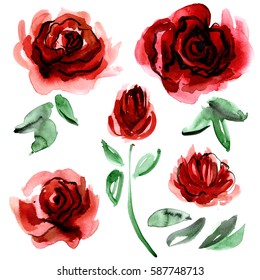 Watercolor hand painted flower elements for invitation, wedding card, birthday card. Dark-red roses.