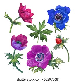 Benzer Watercolor hand painted flowers. Can be used as background for