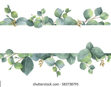 Watercolor hand painted green floral card with silver dollar eucalyptus leaves and branches isolated on white background. Healing Herbs for cards, wedding invitation, save the date or greeting design.