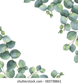 Watercolor hand painted green floral card with eucalyptus leaves and branches isolated on white background. Healing Herbs for cards, wedding invitation, posters, save the date or greeting design.