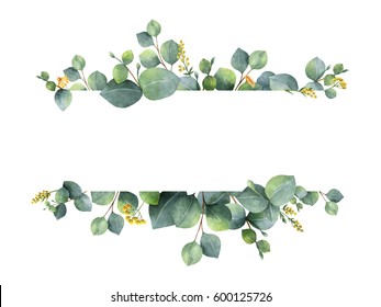 Watercolor Hand Painted Green Floral Banner With Silver Dollar Eucalyptus Isolated On White Background. Healing Herbs For Cards, Wedding Invitation, Posters, Save The Date Or Greeting Design.