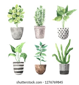 Watercolor hand painted house green plants in flower pots. Set of floral elemnts isolated on white. Decorative greenery collection perfect for print, poster, card making and scrapbooking design - Powered by Shutterstock