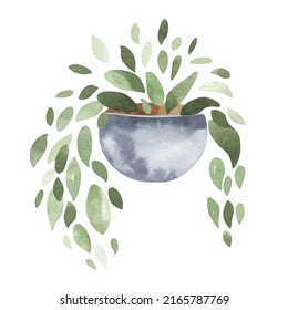 Watercolor Hand Painted House Green Plants In A Flower Pot. Illustration Of Floral Elements Isolated On White. Decorative Greenery Collection Perfect For Print, Posters, Cards And  Design.