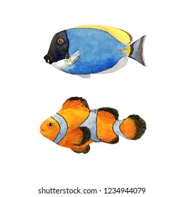 Watercolor Hand Painted Illustrarion. Tropical Fish Set. Fishes From Coral Reef Isolated On White Background. Clown Fish And Surgeon Fish.