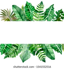 Watercolor hand painted nature summer jungle banner frame with different green tropical leaves and branches on the white background for invitations and greeting cards with the space for text