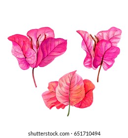 Watercolor hand painted pink flowers.. Can be used as background for web pages, wedding invitations, greeting cards, postcards, textile design, package design, wallpapers, prints, patterns and so on.