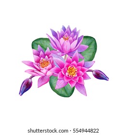 Watercolor hand painted pink lotus set. Can be used as romantic background for wedding invitations, greeting cards, patterns, textile design, package design, clothes design, prints on sweatshirt.