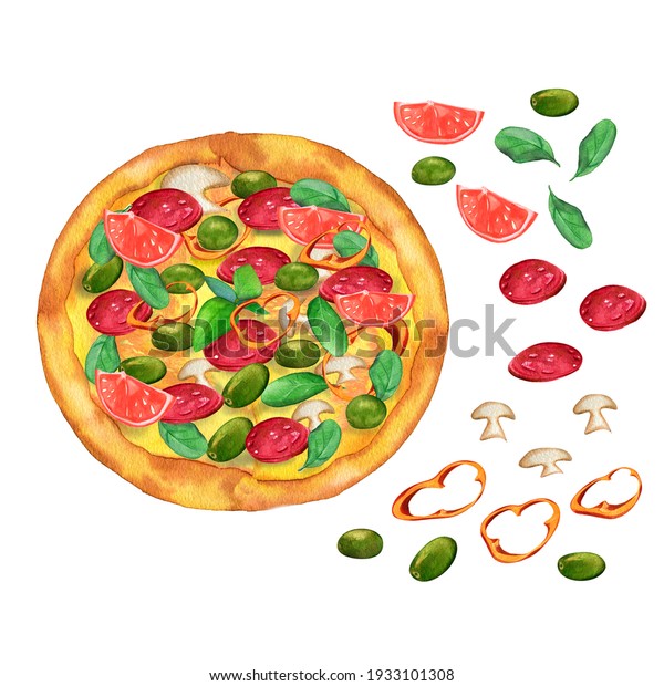 水彩の手描きの具材入りピザ 白い背景にイラトス ピザ キノコ オリーブ ペッパー バジル ソーセージ ハム トマトセット リアル のイラスト素材