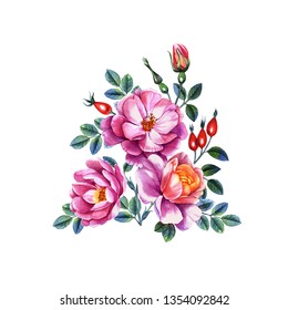 Watercolor Hand Painted Illustration Roses Can Stock Illustration 510050452